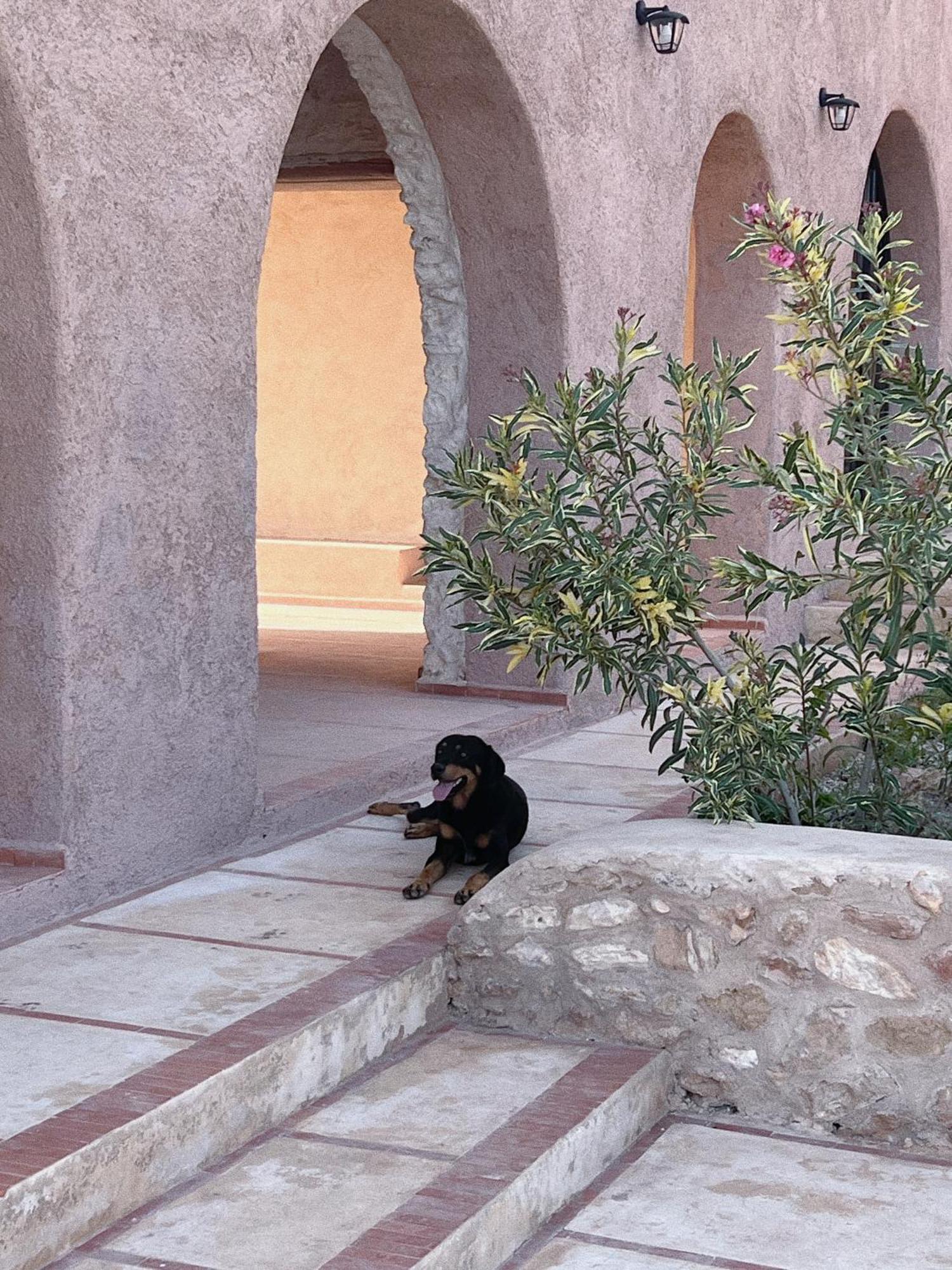 Dar Omnia Hotel Essaouira Luaran gambar
